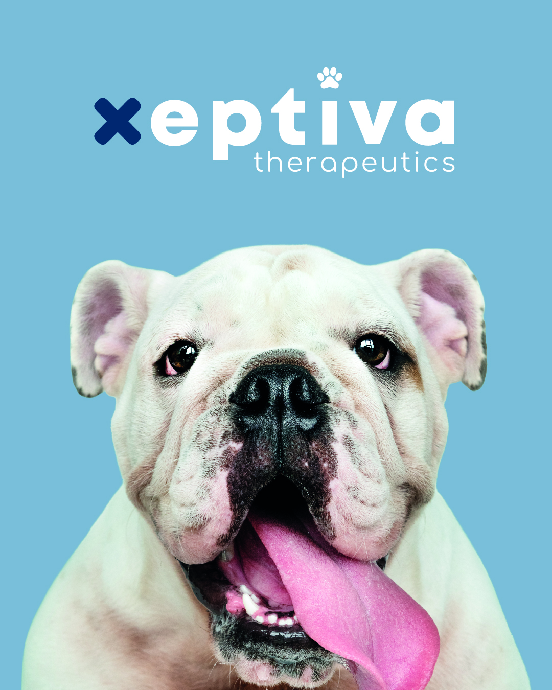 Imagen de marca para Xeptiva Therapeutics con un bulldog sobre fondo azul claro