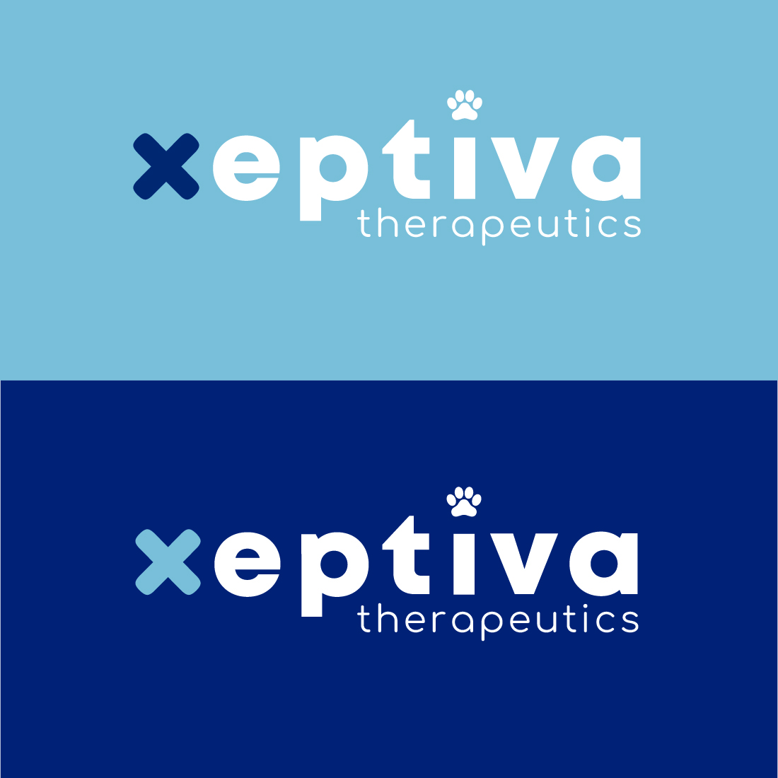 Páginas del brandbook de Xeptiva Therapeutics