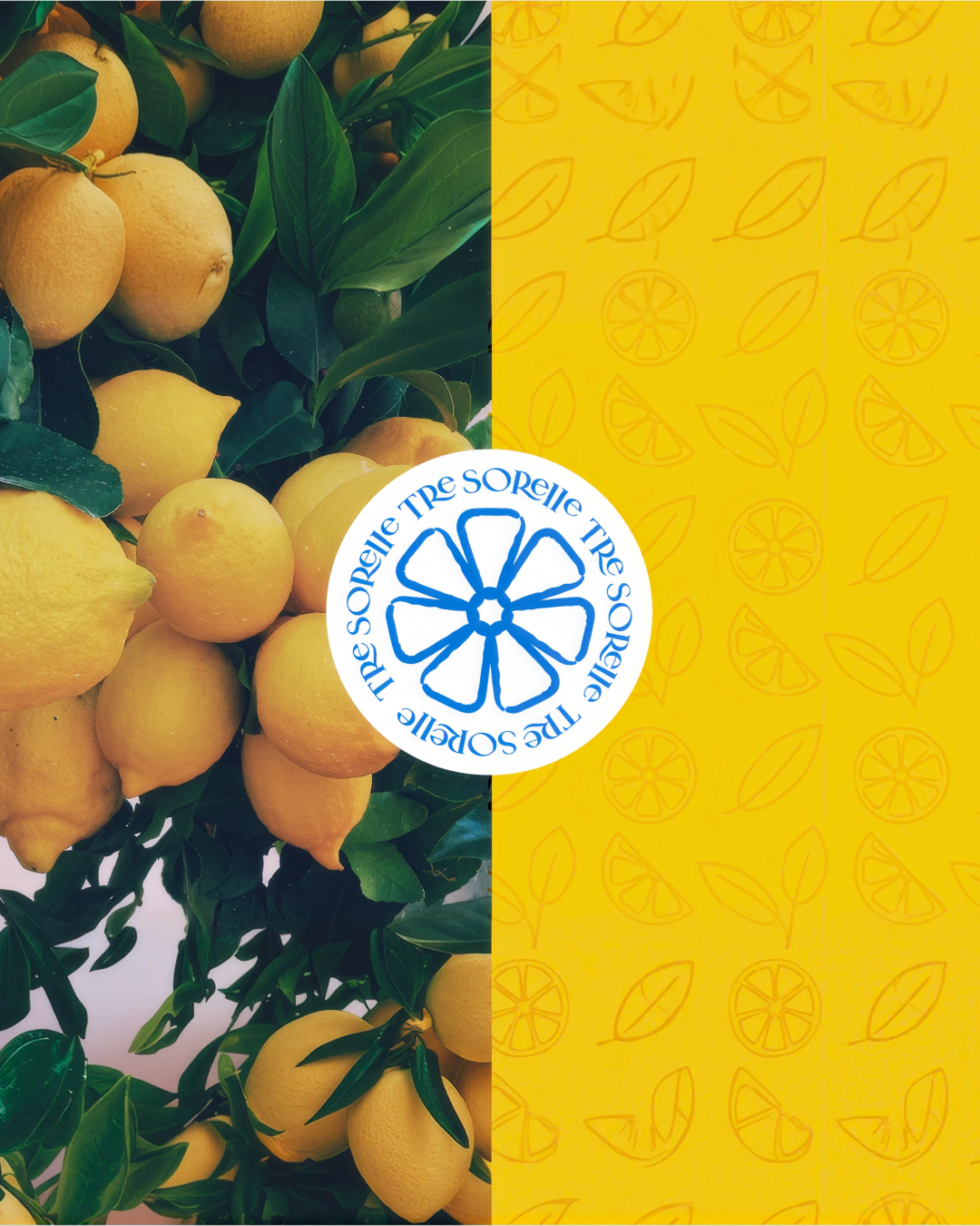 Aplicación de marca de Tre Sorelle con limones y el logotipo circular sobre fondo amarillo